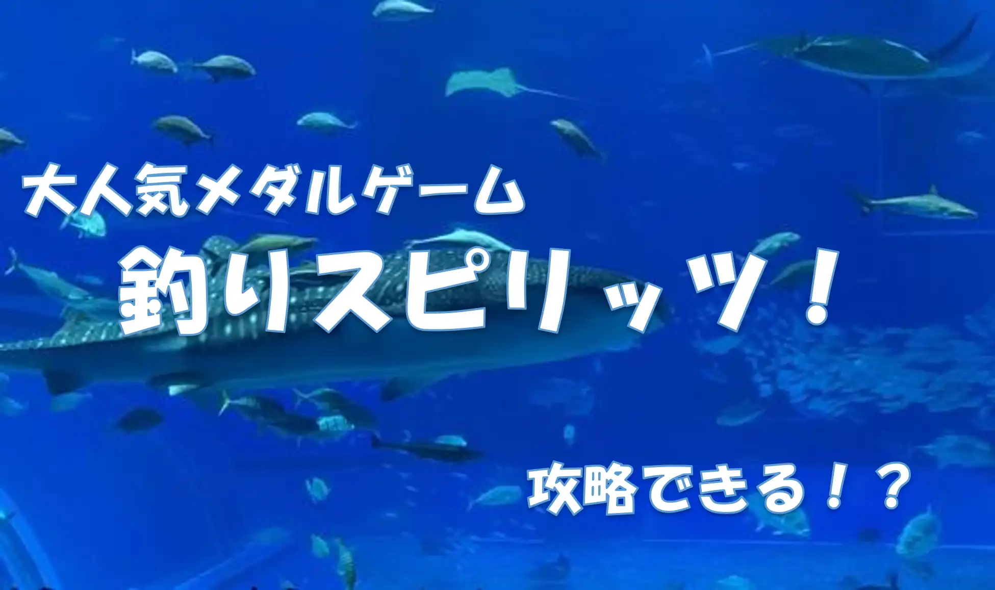 大人気メダルゲーム「釣りスピリッツ」！攻略できる！？